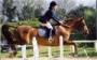 fr-po:quarta:equitation-sport-pratique-319004.jpg