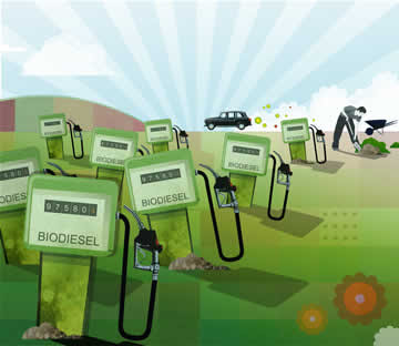 biocombustiveis.jpg